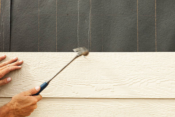 Best Custom Siding Design  in Elmwood, LA